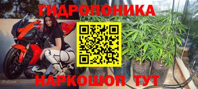спиды Сланцы
