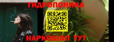 тгк Славгород