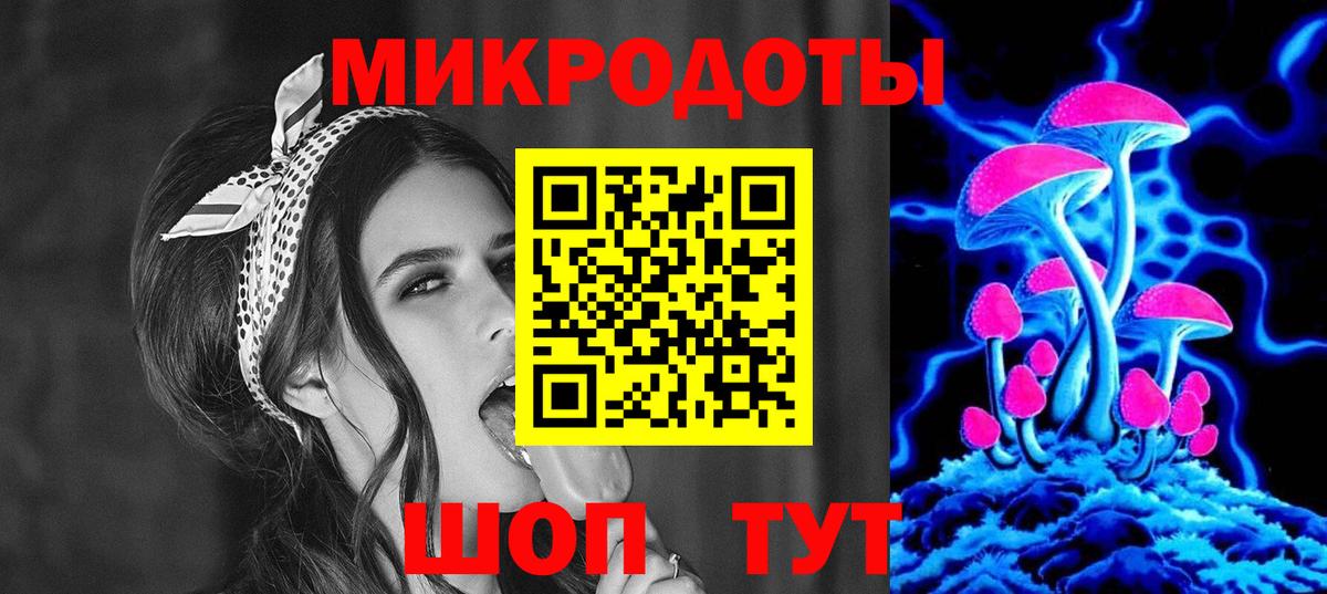 Псилоцибиновые грибы Psilocybe Рязань